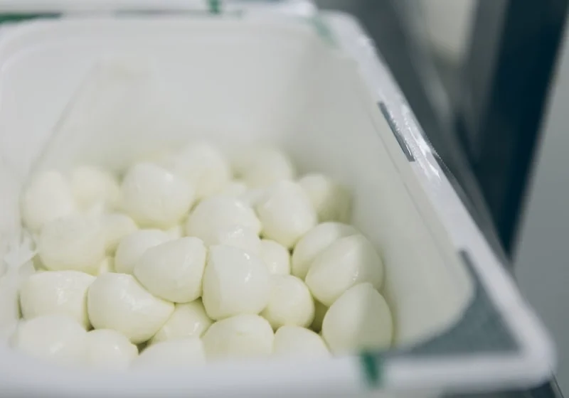Packaging MAP per mozzarella fresca — linea di produzione lattiero-casearia