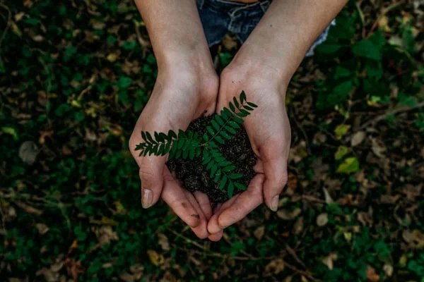 Packaging sostenibile eco-friendly materiali riciclabili