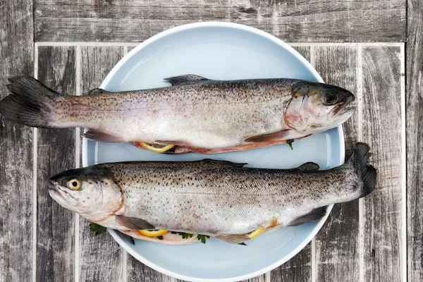 Pesce fresco e surgelato — errori nel confezionamento