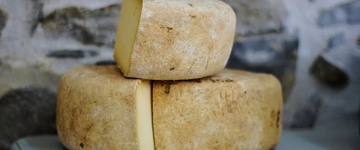 Formaggi stagionati e freschi — errori nel confezionamento packaging