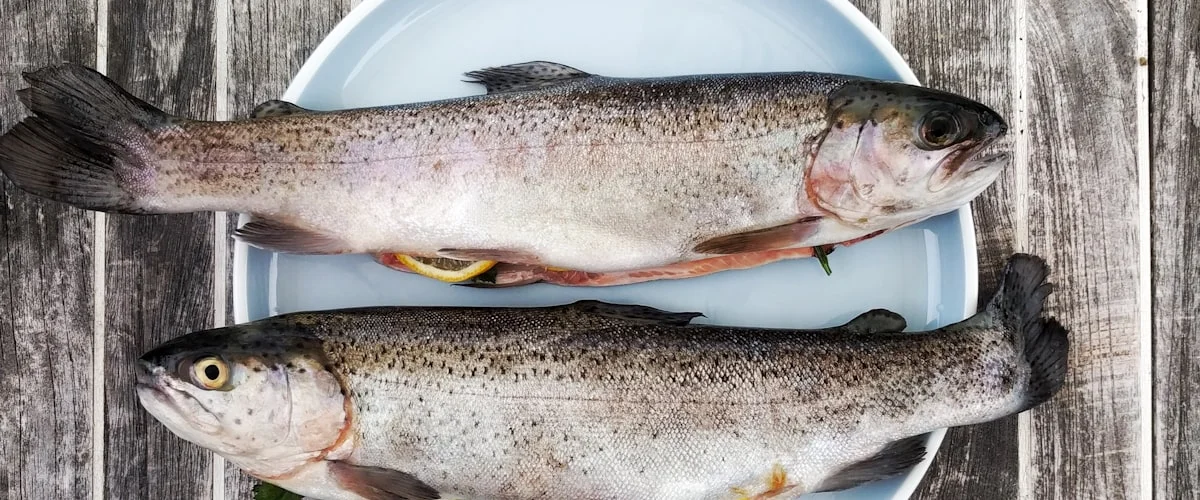 Pesce fresco e surgelato — errori nel confezionamento packaging